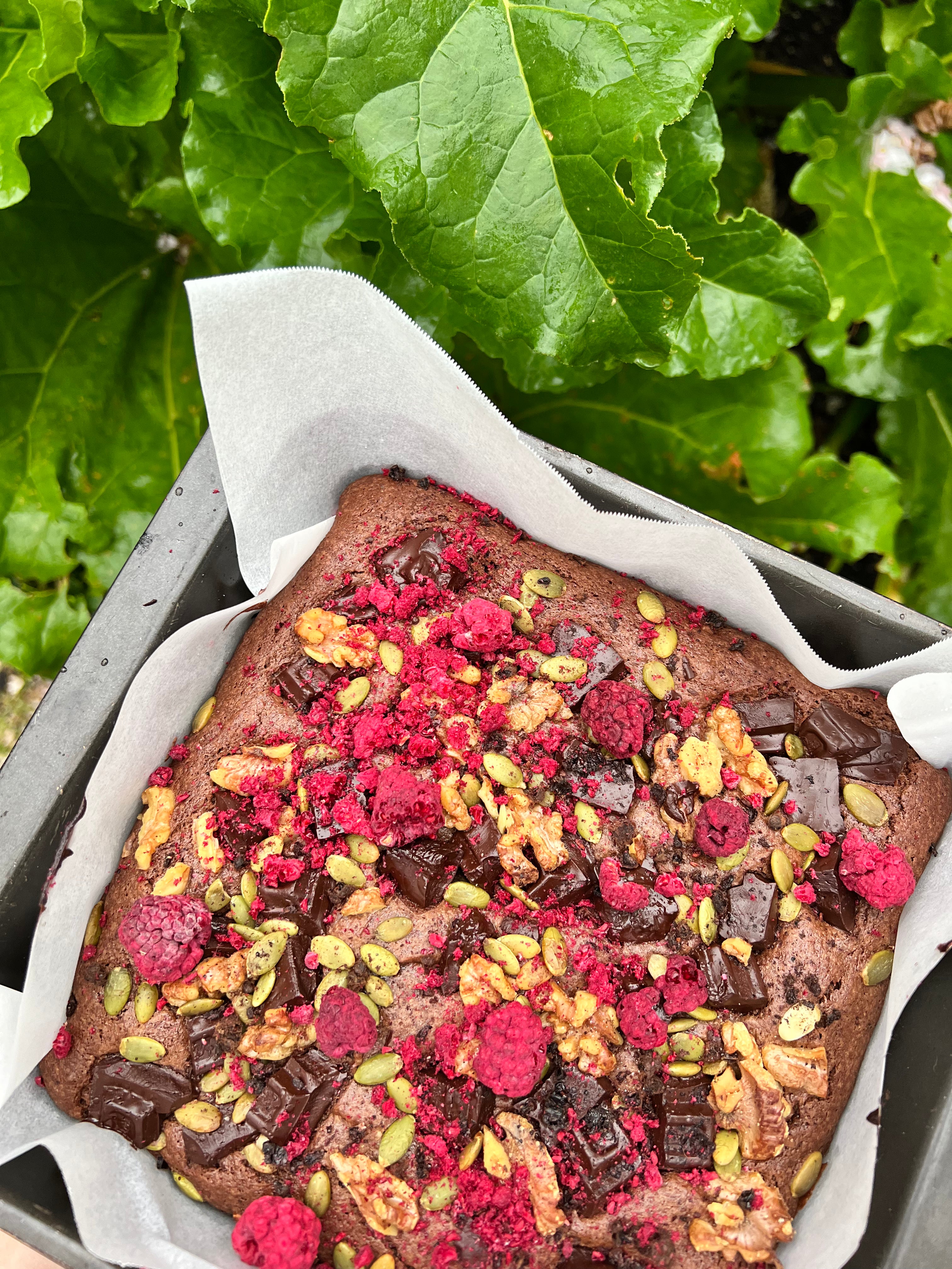 Low FODMAP Brownie with raspberries and chocolate chunks on a baking tray with green leaves in the background